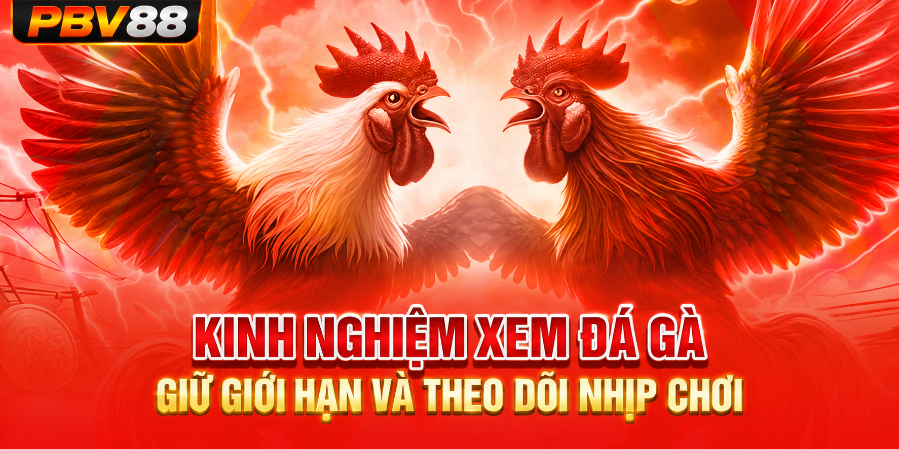 Khung nội dung ngắn để đọc nhanh trên thiết bị yếu